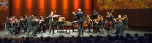Marin Symphony orchestra in action with curtain in background