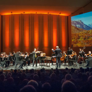 Marin Symphony orchestra in action with curtain in background mobile square